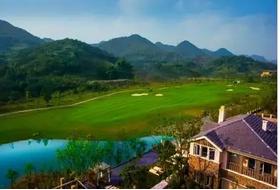 茶园的地价多少钱一亩,茶园拿地价格