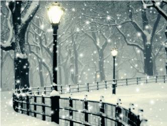 「诗词鉴赏」倾城一夜雪万物皆覆白