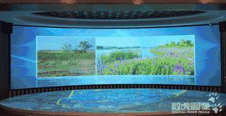 缁忓吀妗堜緥,缁忓吀妗堜緥鍒嗕韩