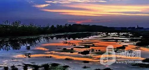 缁忓吀妗堜緥,缁忓吀妗堜緥鍒嗕韩