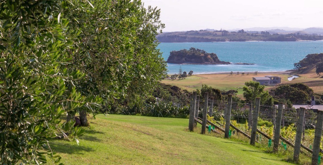 用不一样的角度和世界相遇｜玩趣计划