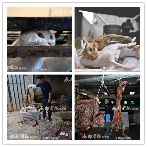 厦门办理居住证需要暂住证吗,厦门居住证星期六可以去办吗