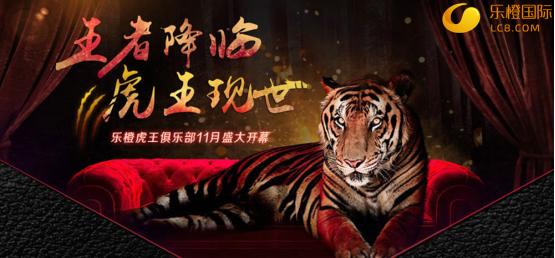 打造知名品牌进军海外市场,品牌扩张的成功案例