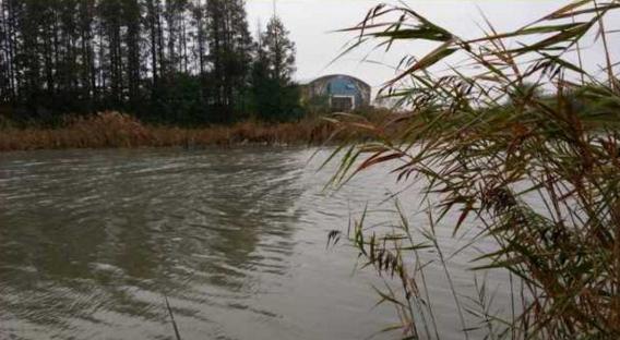 钓鱼人太牛！大风大雨中垂钓也能迎来鲤鲫大丰收