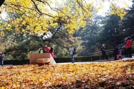 2016年“中国最具幸福感城市”榜单发布，石家庄竟然没有上榜