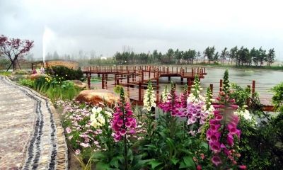 扬州版“百草园”等你来！冬季仍是翠绿鹅黄，色彩斑斓！