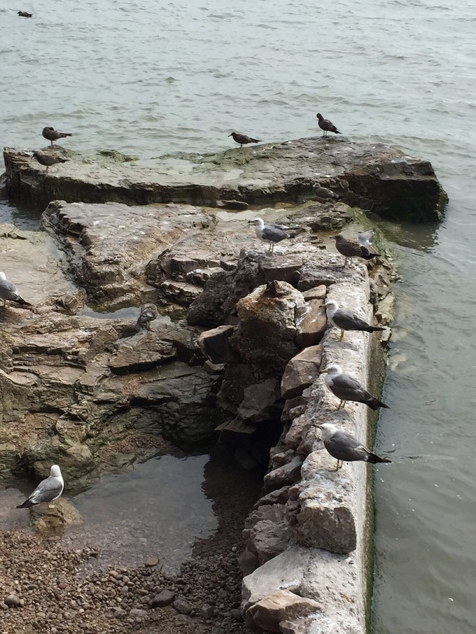 那年夏天那片海图片,那年夏天那片海
