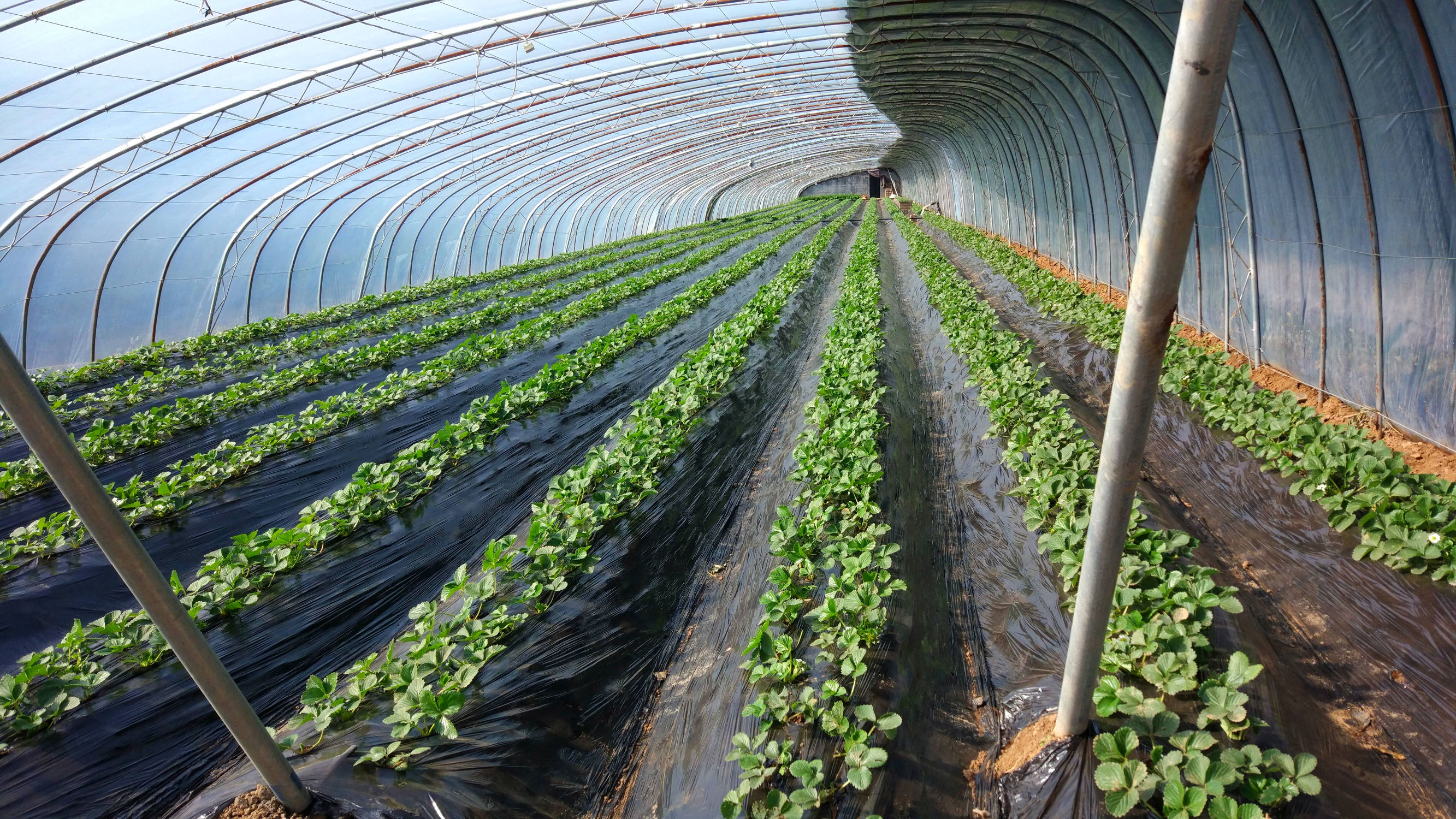 青州赤涧村数字乡村建设心得体会,青州弥河赤涧村