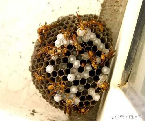 8090后的回忆你们经历过吗,8090共同的回忆完整视频