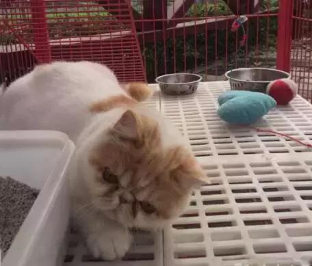 南京好玩的农家乐度假村排名,南京农家乐周末最值得一去的地方