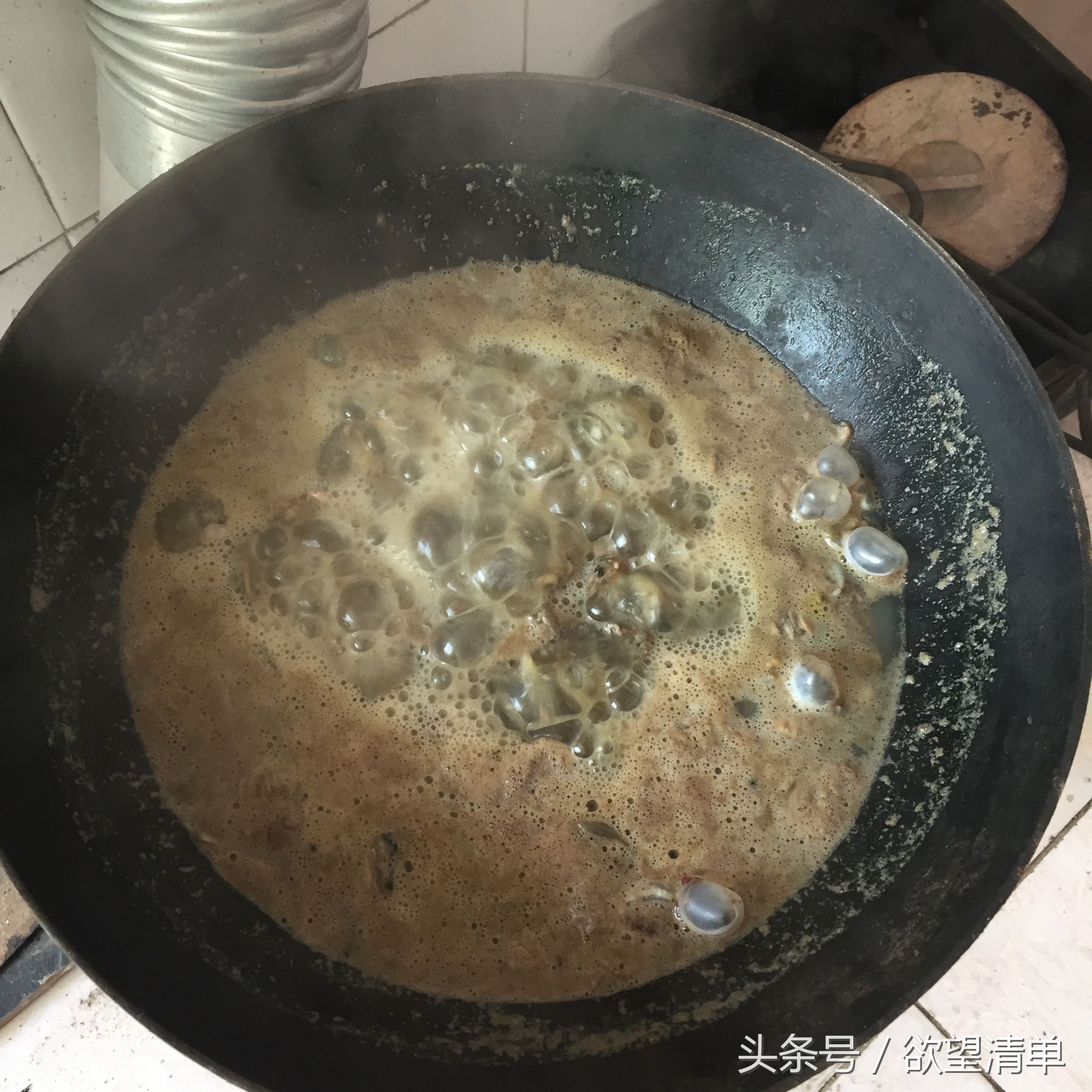 主人给刚出生的小狗喂大鱼吃,狗狗生了一窝小狗给妈妈炖鱼汤