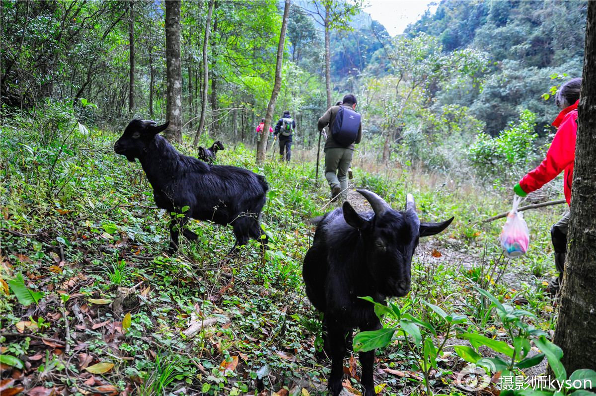 侠之梦受邀参与恩施坪坝营线路测试，冬季溯溪，冰冷刺骨，第一天