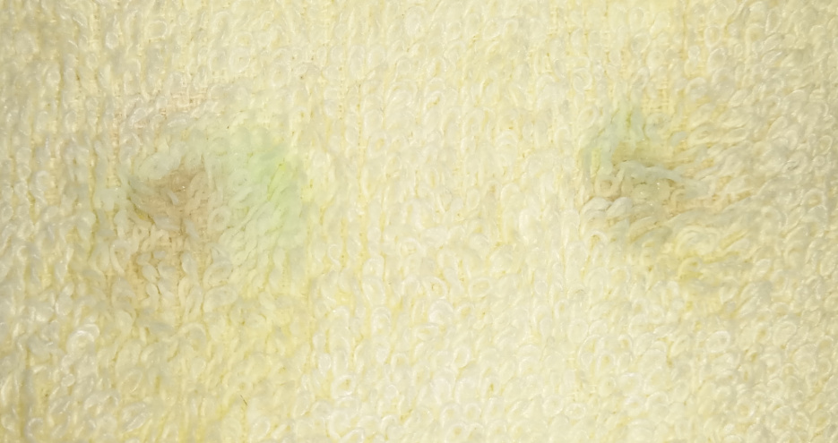 舒客电动牙刷更适合哪个牌子牙膏,舒客牙刷电动测评性价比高第一名