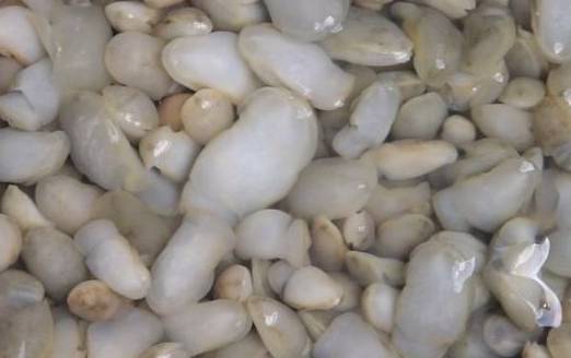 三明这些美食虽然有点吓人但更美味！