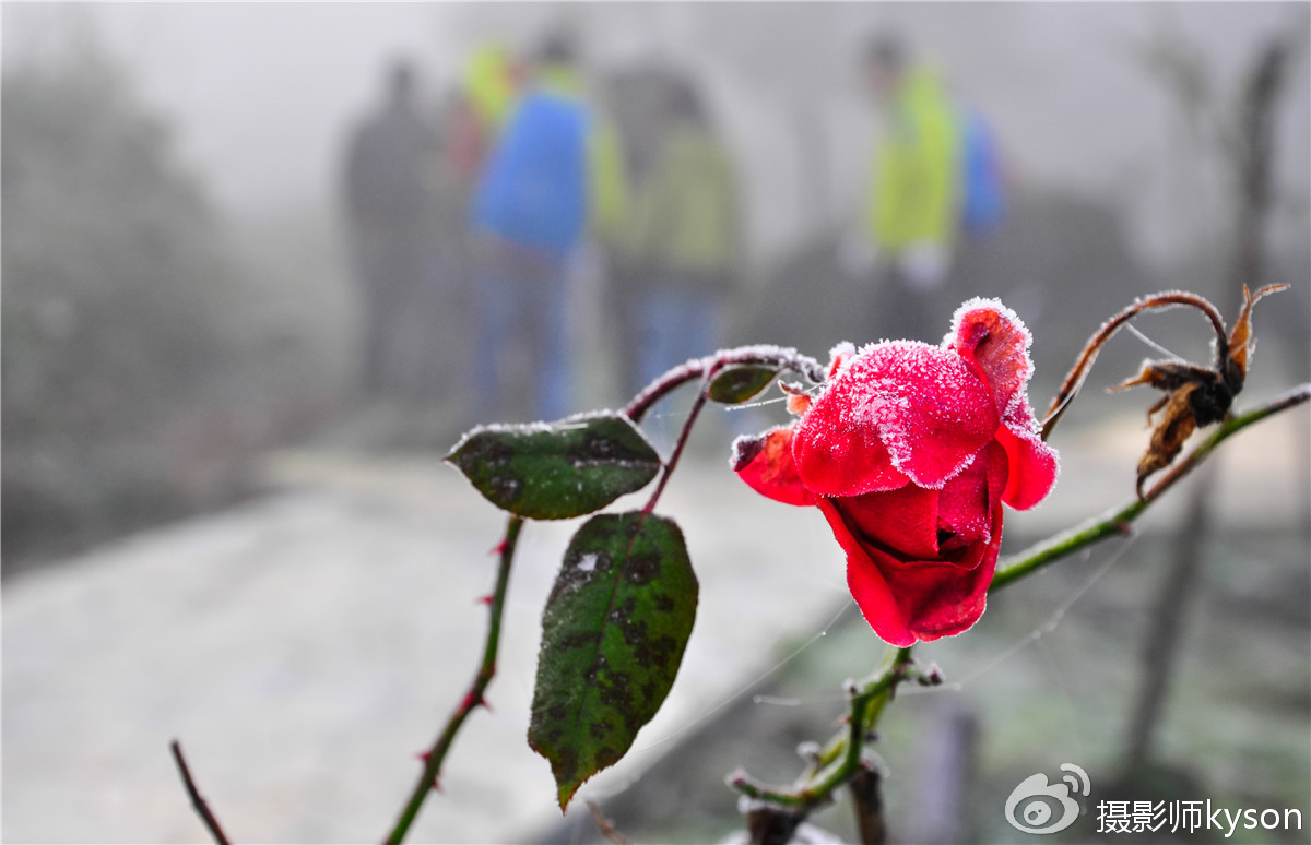 侠之梦受邀参与恩施坪坝营线路测试，冬季溯溪，冰冷刺骨，第一天