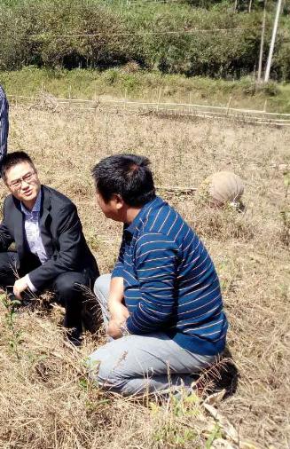 藏在深山无人识,石台县原始森林