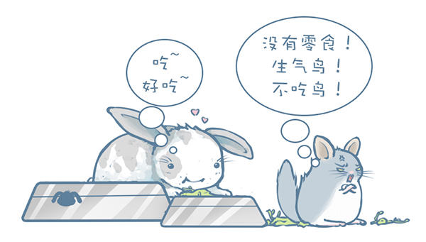 龙猫怎么才能不掉毛,龙猫挑食不吃主粮怎么办