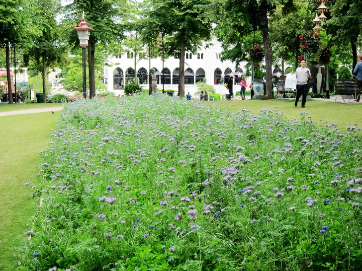 丹麦童话王国亲子游,丹麦风情小镇童话王国