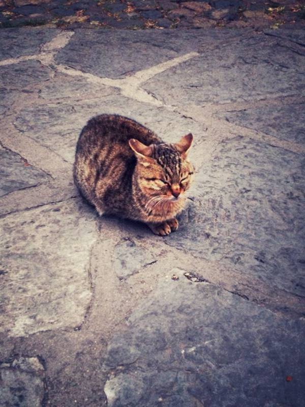 昍朤难坏天下才子，盘点各地名胜怪字联（图）