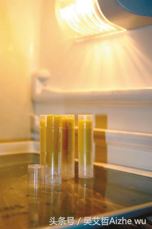 双12种草大全,种草双12