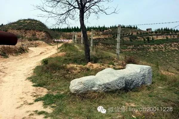 跨越千年时光看兵马俑,跨越千年唐十八陵