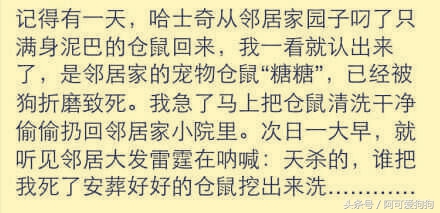 哈士奇长的可爱,你家哈士奇真的不会自卑吗