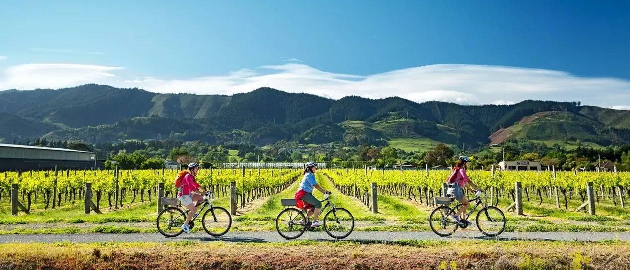 新西兰旅行与美食,新西兰美食之旅