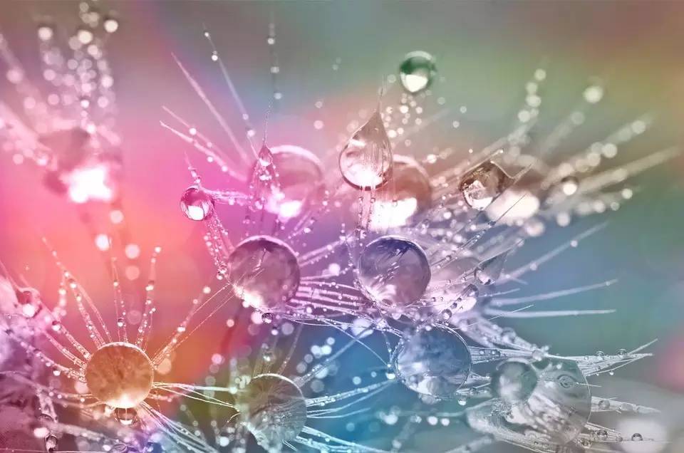 尖锐性湿疣是哪不舒服,尖锐性湿疣有哪些不舒服