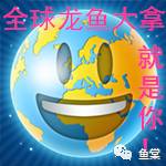 金龙鱼识图,金龙鱼怎样发色好看