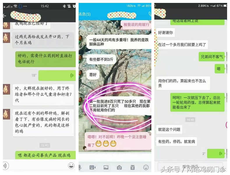 气囊炎的解决方法,鸭气囊炎的防治方法