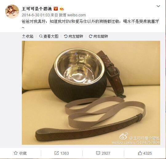 王思聪给王可可买的狗链挑衅了整个娱乐圈吴亦凡权志龙躺枪
