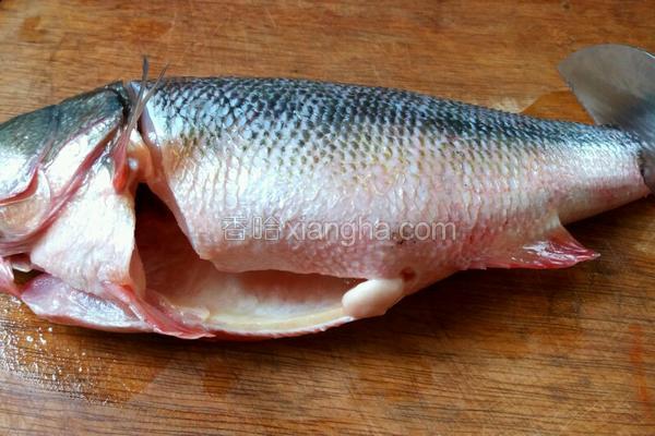 剔鱼片的教程,鱼片的切法剔除鱼刺视频