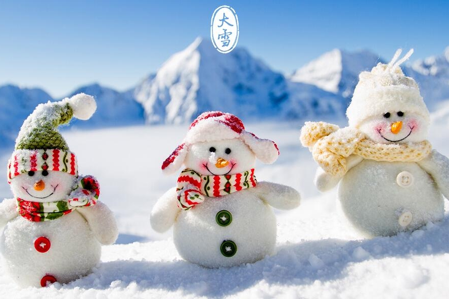 大雪丨白雪欲求吟咏句，穿枝掠院演梅花