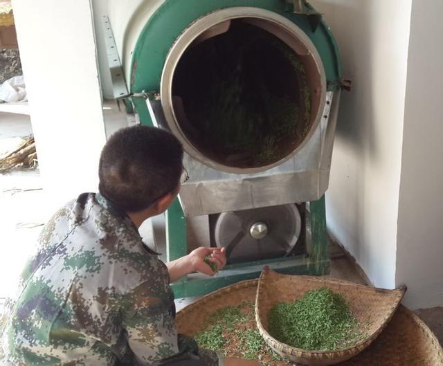 信阳毛尖制作全过程图,信阳毛尖的制作过程