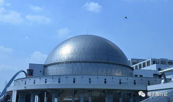 樱花旅行记全集视频,樱花季日本14天旅游攻略