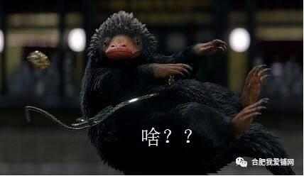 合肥滨湖奥特莱斯选址,合肥首创奥特莱斯区域分布图高清