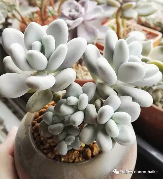 美好的时光带来快乐,美好的时光伴随着我