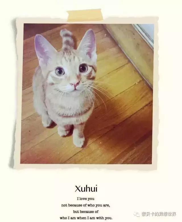 致爱我的人2020年,致爱我的人