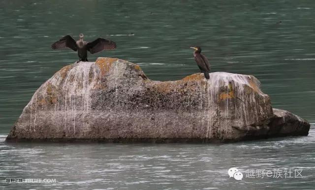 开着房车旅行说走就走,说走就走出去玩视频