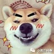 刘梓晨早期微博,刘梓晨过生日