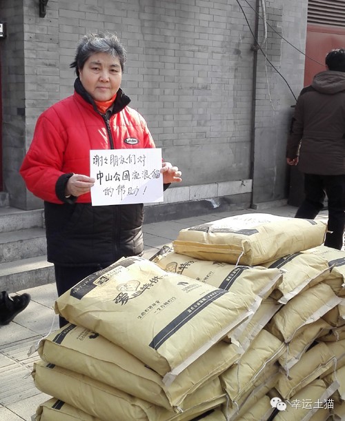 带喂了2年的流浪猫回家过年,公园里的流浪猫吃饱了