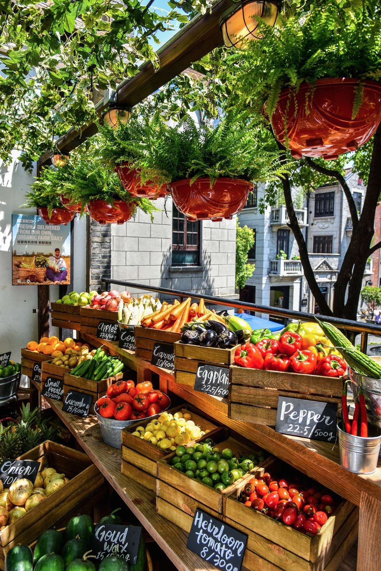 拔草！隐藏在新天地的防空洞酒吧、冠军面包舖、李宗盛阿信的咖啡厅！一天绝不够！