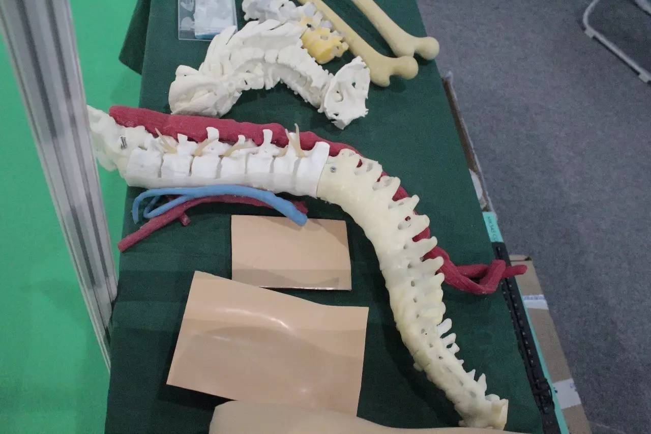 国际3d打印展2017,中国国际3d打印技术展览会