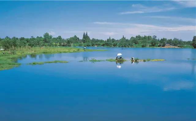 去温江有啥好玩的,夏季温江游玩景点有哪些