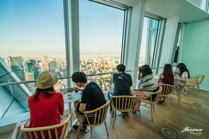 粉红猪小妹与小猪佩奇,粉红猪小妹的快乐生活