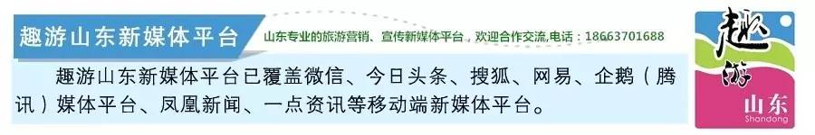 山东皮草城哪个比较好,山东皮草商城