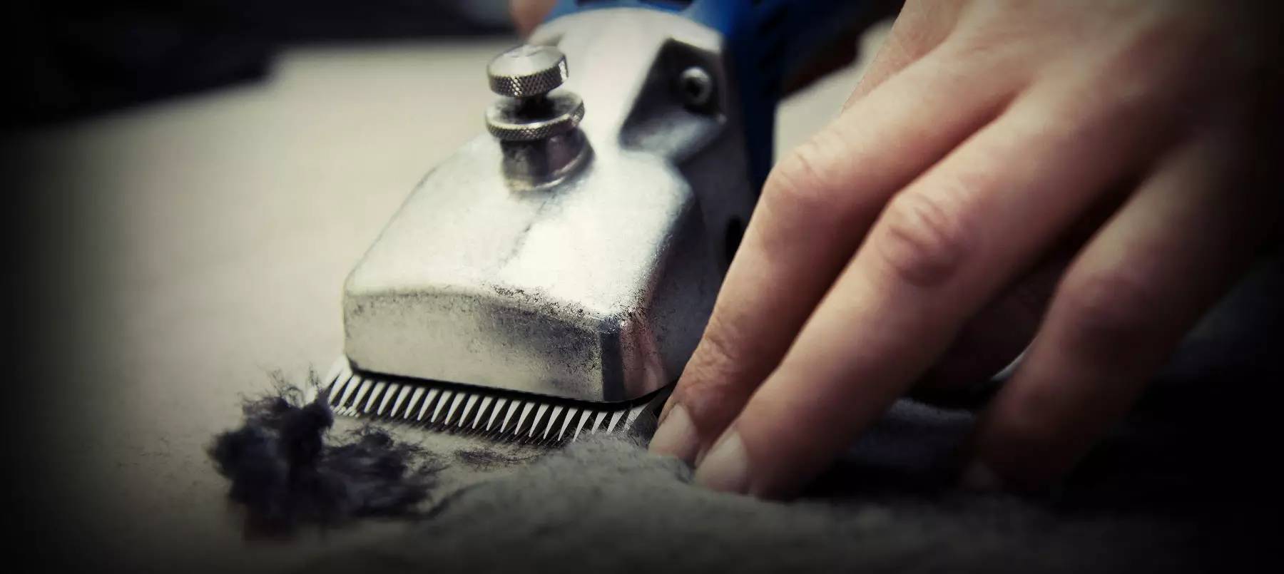 皮草羽绒搭配高级感冬天,皮草与羽绒的完美结合