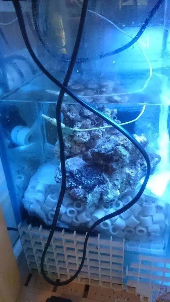 简单粗暴开啤酒,简单开个缸