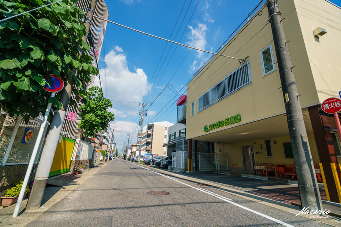 粉红猪小妹与小猪佩奇,粉红猪小妹的快乐生活