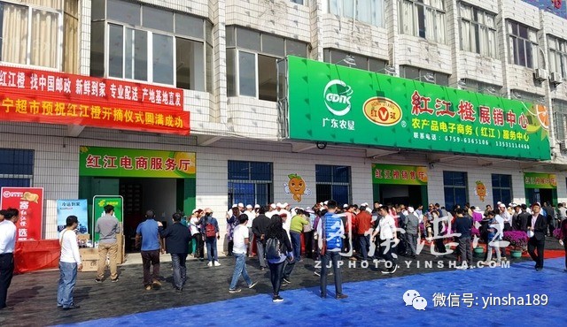 红江橙鲜果价格,红江橙2020价格